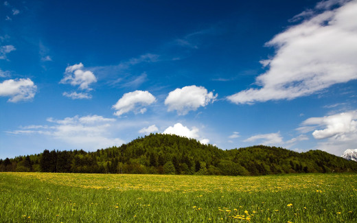 486400 (a): :2560x1600